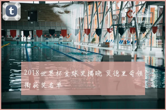 2018世界杯金球奖揭晓 莫德里奇领衔获奖名单