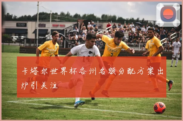 卡塔尔世界杯各州名额分配方案出炉引关注
